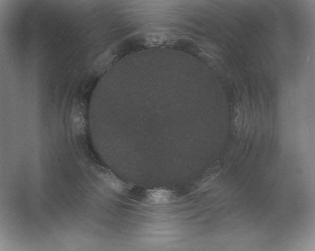 X0000062630226200512281603