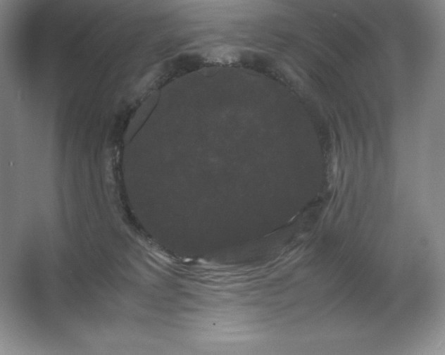 X0000062630229200512281603