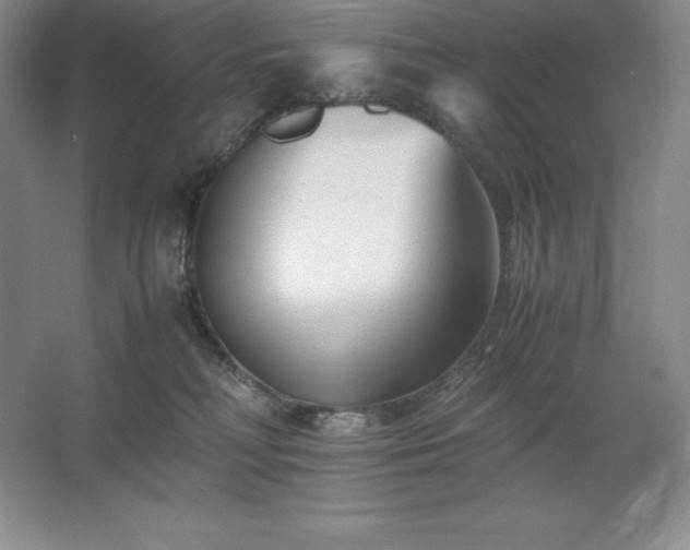 X0000062630230200512281603