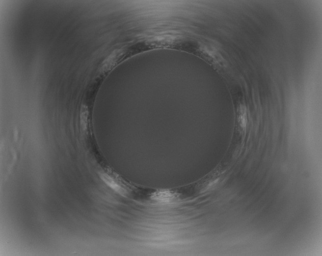 X0000062630231200512281603