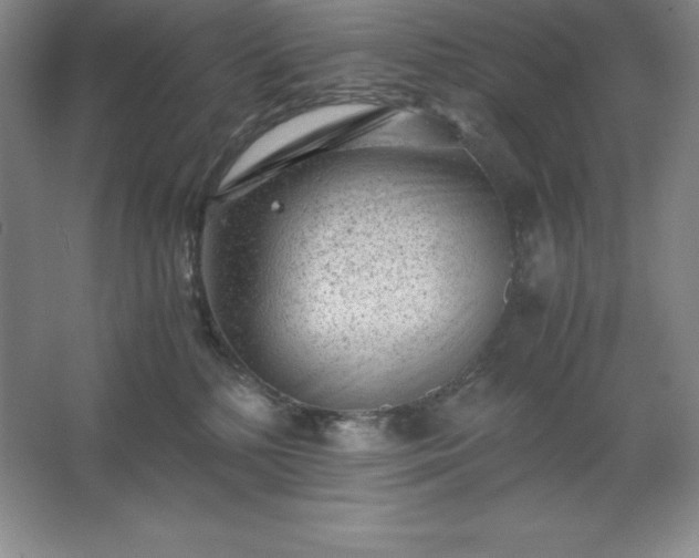 X0000062630232200512281603