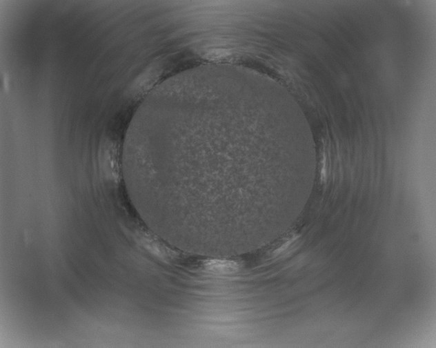 X0000062630234200512281603