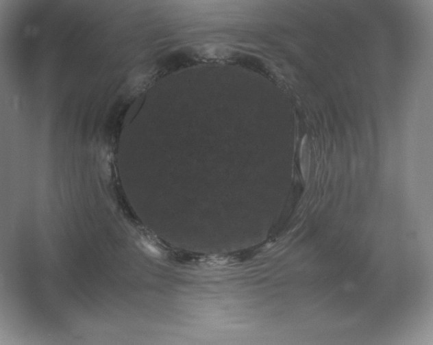 X0000062630235200512281603