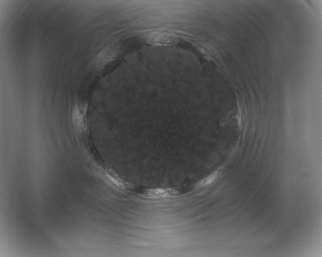 X0000062630239200512281603