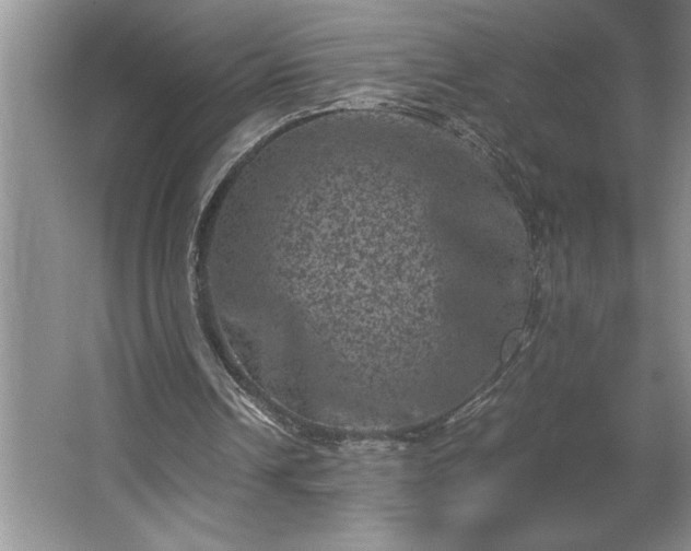 X0000062630242200512281602