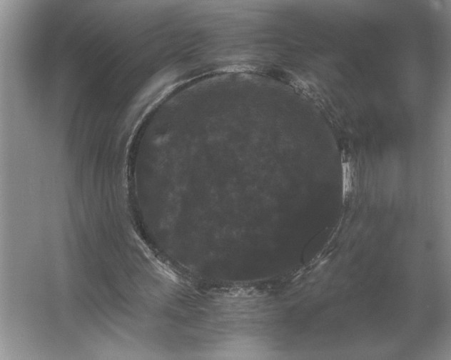 X0000062630243200512281602