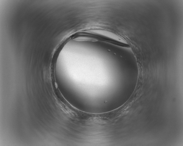 X0000062630244200512281602