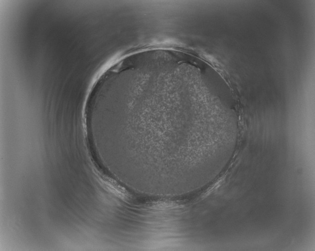 X0000062630246200512281602