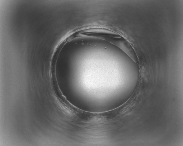 X0000062630248200512281603