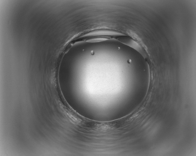 X0000062630249200512281603