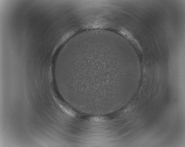 X0000062630250200512281603