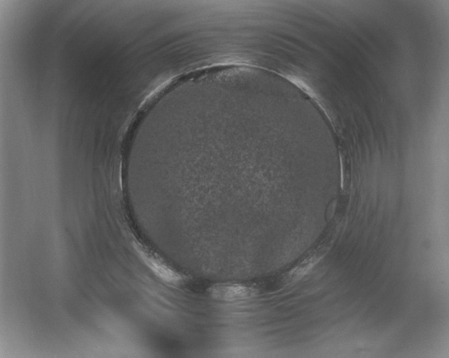 X0000062630253200512281603