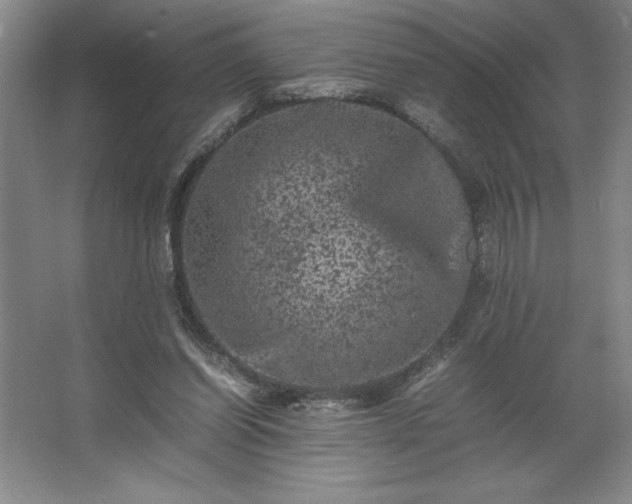 X0000062630254200512281603