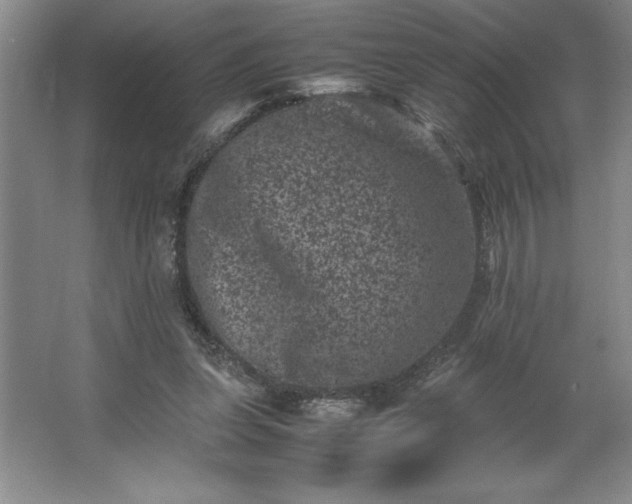 X0000062630255200512281603