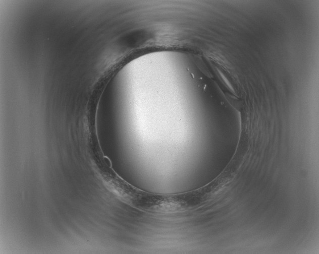 X0000062630256200512281603