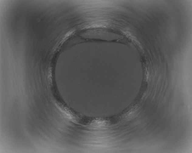 X0000062630260200512281603