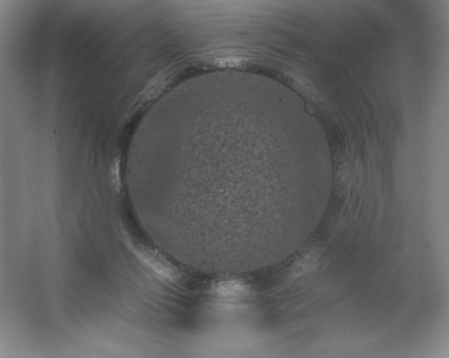 X0000062630262200512281603