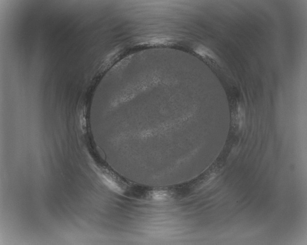 X0000062630264200512281603