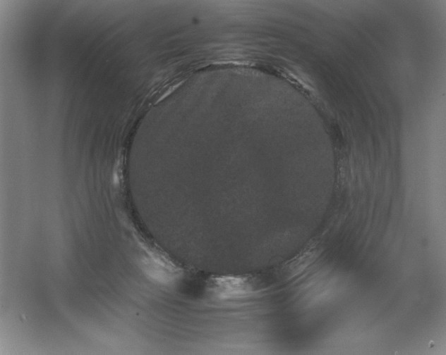 X0000062630265200512281603