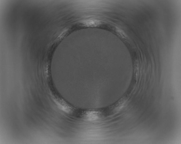 X0000062630268200512281603