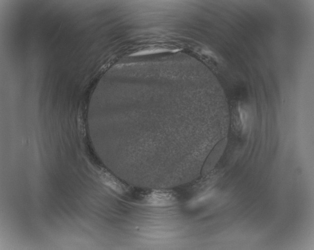 X0000062630270200512281603