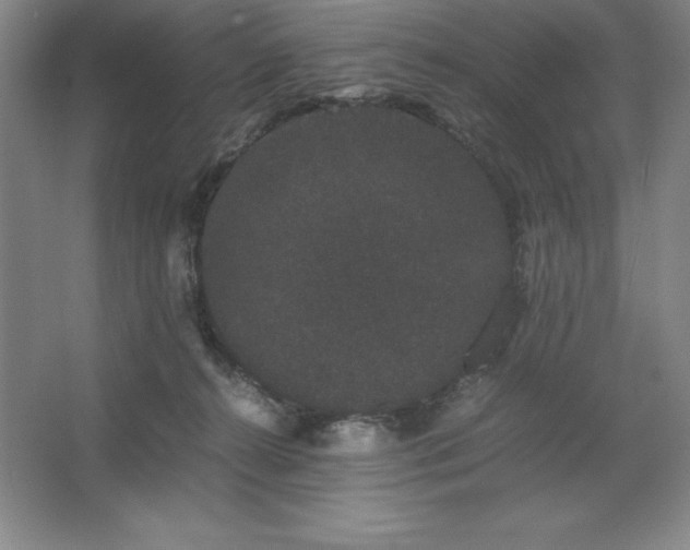 X0000062630272200512281603