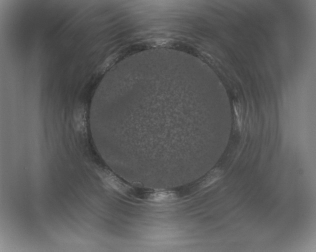 X0000062630274200512281603