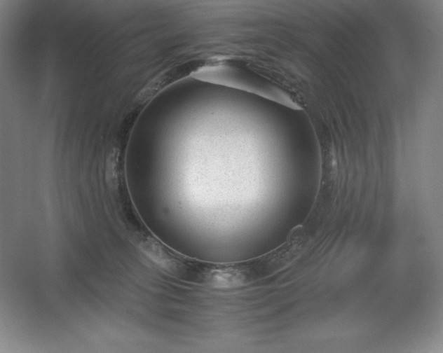 X0000062630275200512281603