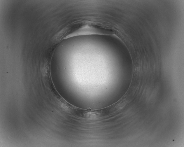 X0000062630277200512281603