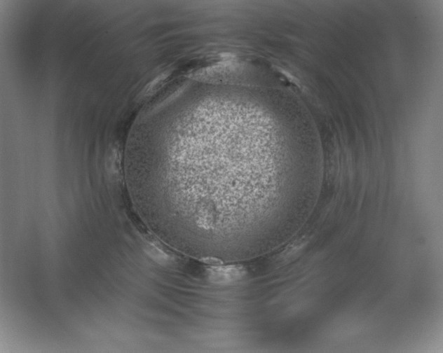 X0000062630281200512281603