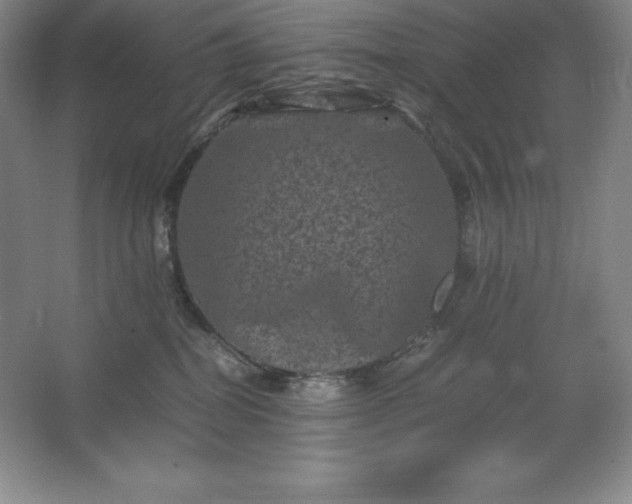 X0000062630282200512281603