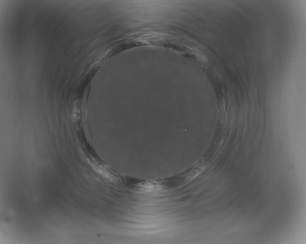 X0000062630284200512281603