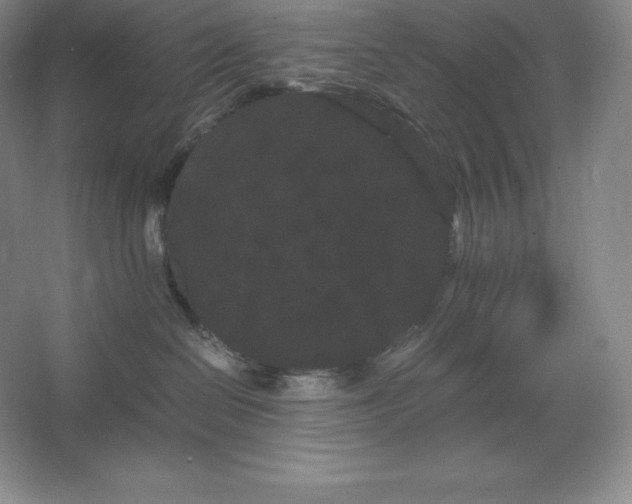 X0000062630286200512281603