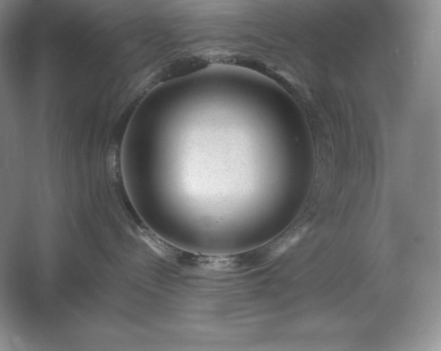 X0000062630288200512281603