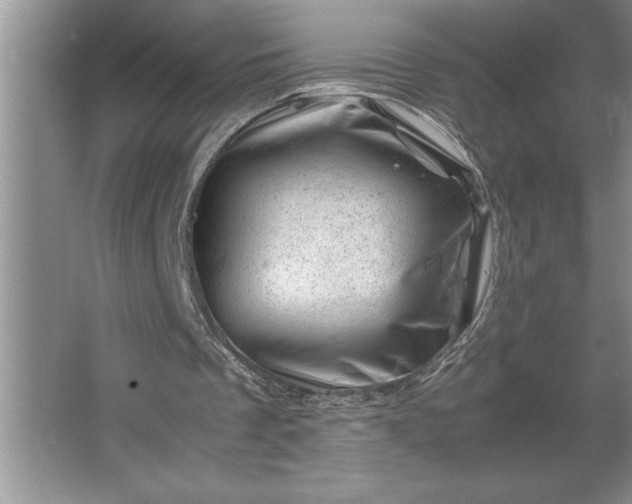 X0000062630289200512281602