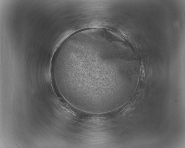 X0000062630292200512281602