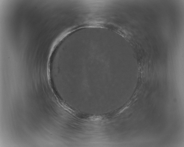 X0000062630294200512281602