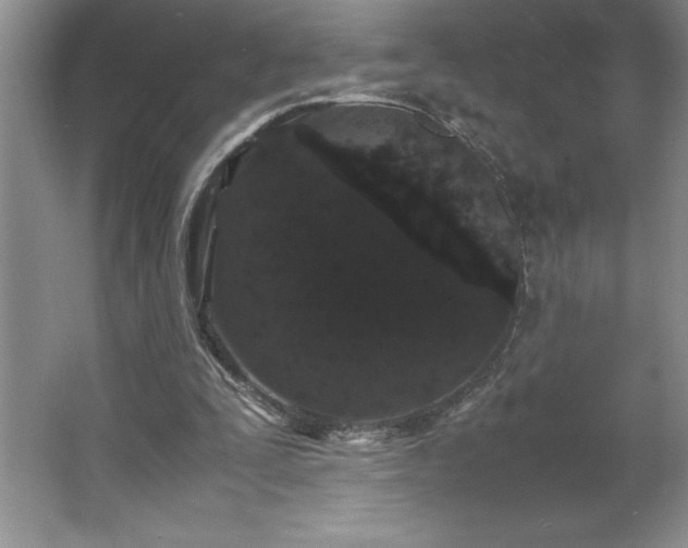 X0000062630295200512281602