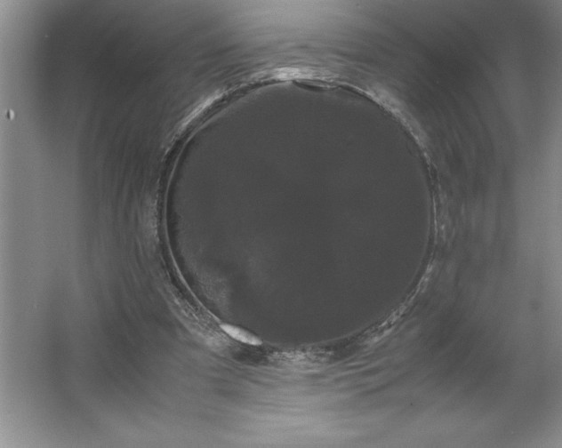 X0000062630297200512281602