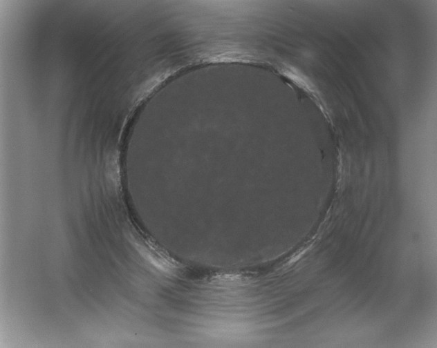 X0000062630298200512281602