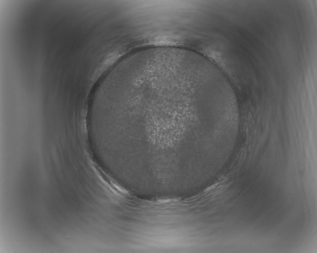 X0000062630299200512281602