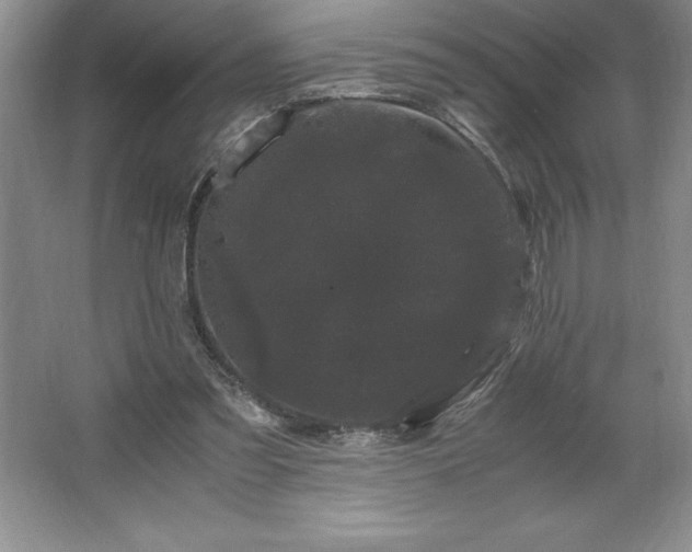 X0000062630301200512281602