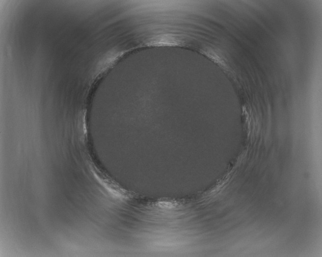 X0000062630302200512281602