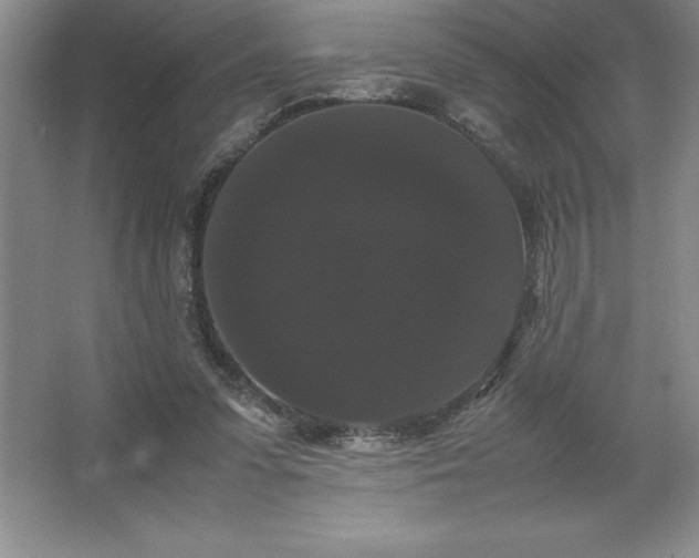 X0000062630303200512281602