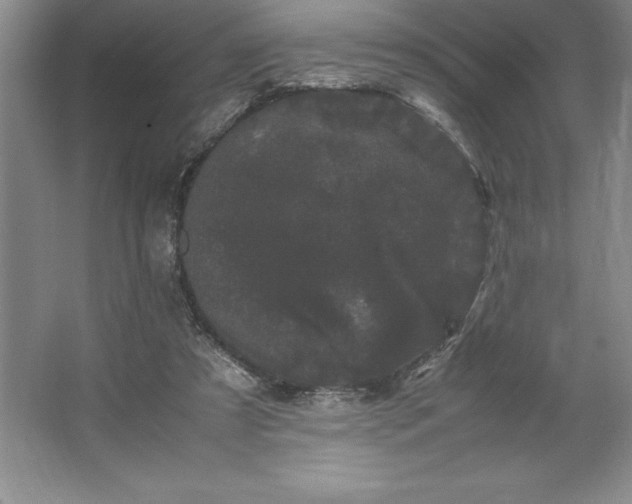 X0000062630305200512281602