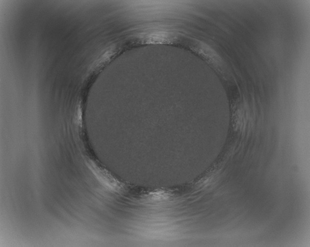 X0000062630310200512281602