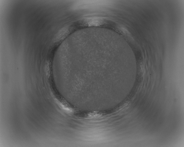 X0000062630311200512281602