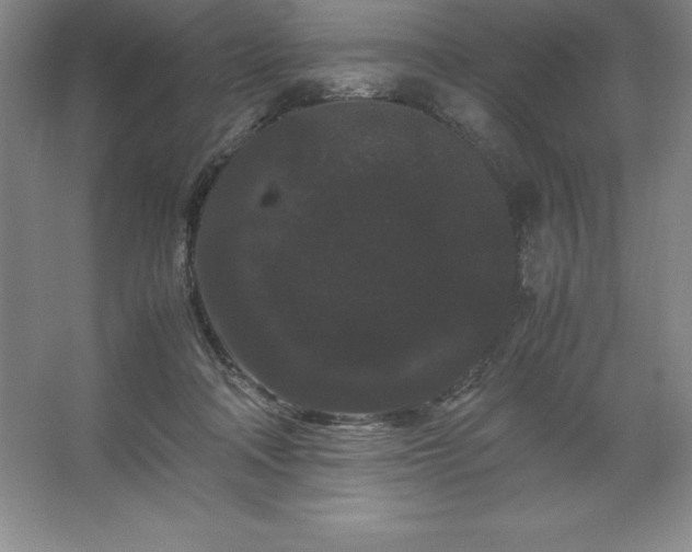 X0000062630314200512281602