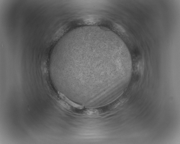 X0000062630317200512281602