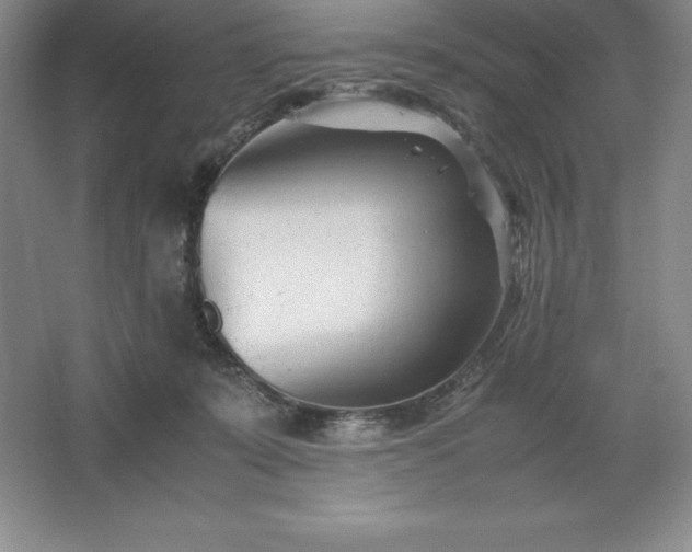 X0000062630319200512281602